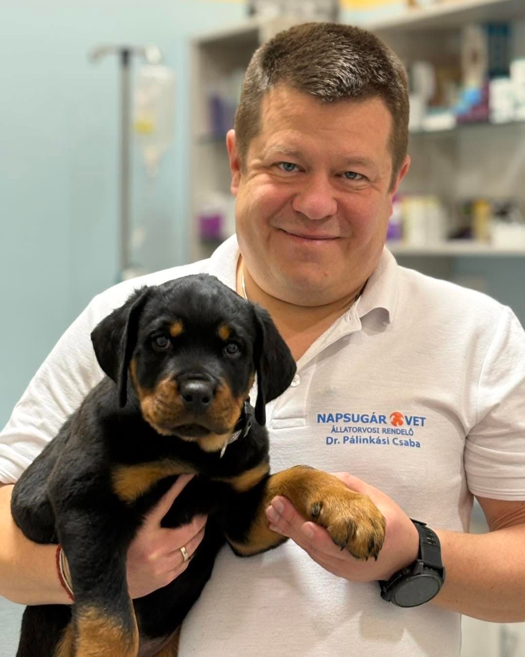 Dr. Pálinkási Csaba rottweiler kölyökkel a karjában